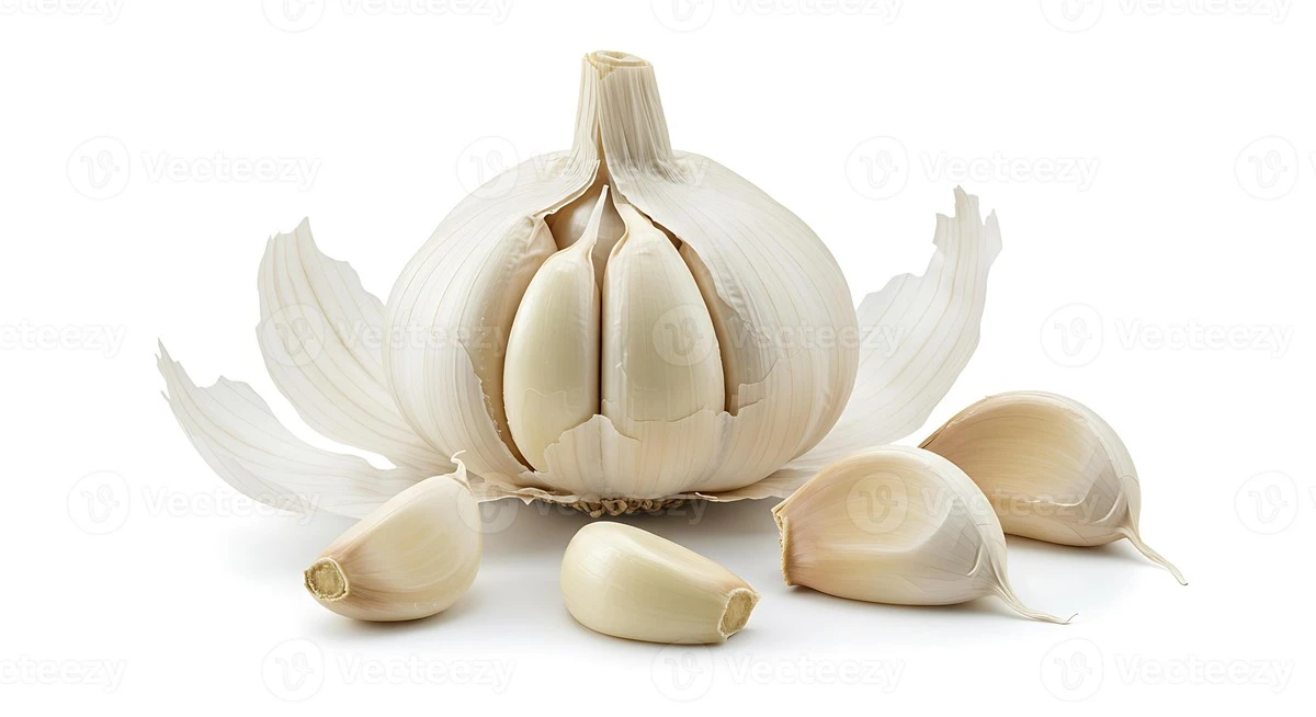 porquetireelajo-extra-1.webp Por qué tiré el ajo germinado toda mi vida - un error que ahora corrijo - image 1