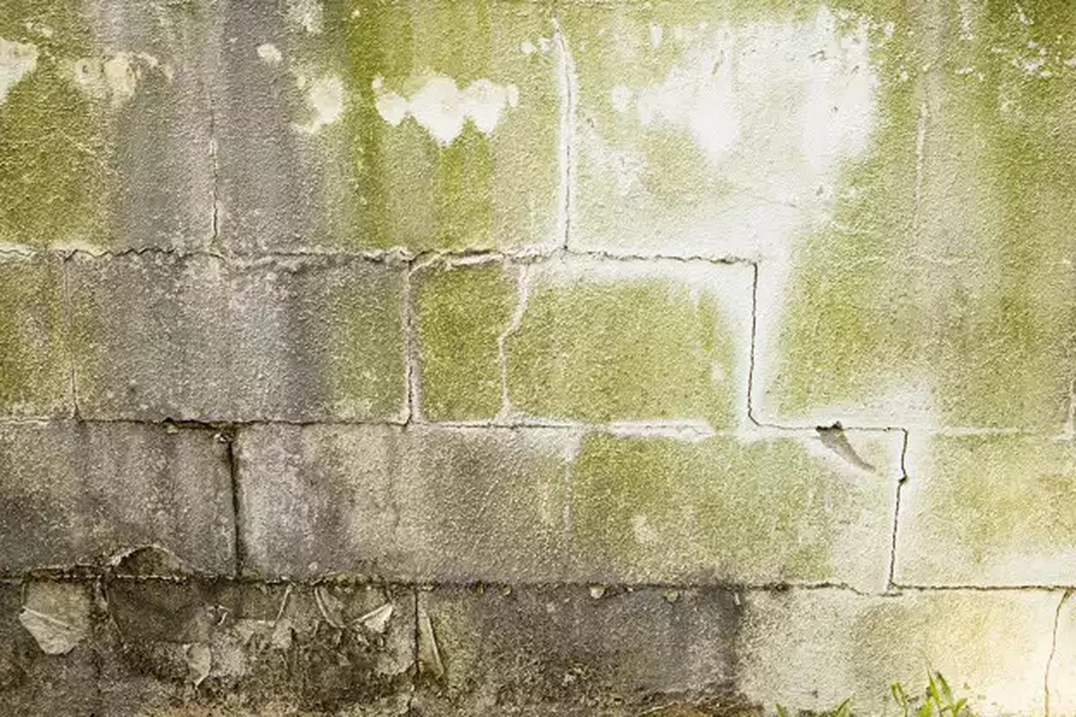 3 maneras sencillas de secar tu sótano húmedo en primavera sin gastar una fortuna - image 1