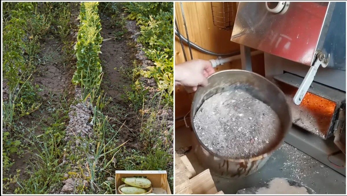 Teta Zita desvela el secreto: dónde tirar las cenizas de tu chimenea para obtener un 100% de beneficio